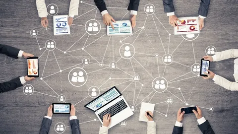 Exploring Lacover Applications, Related Services, and Strategic Content Opportunities