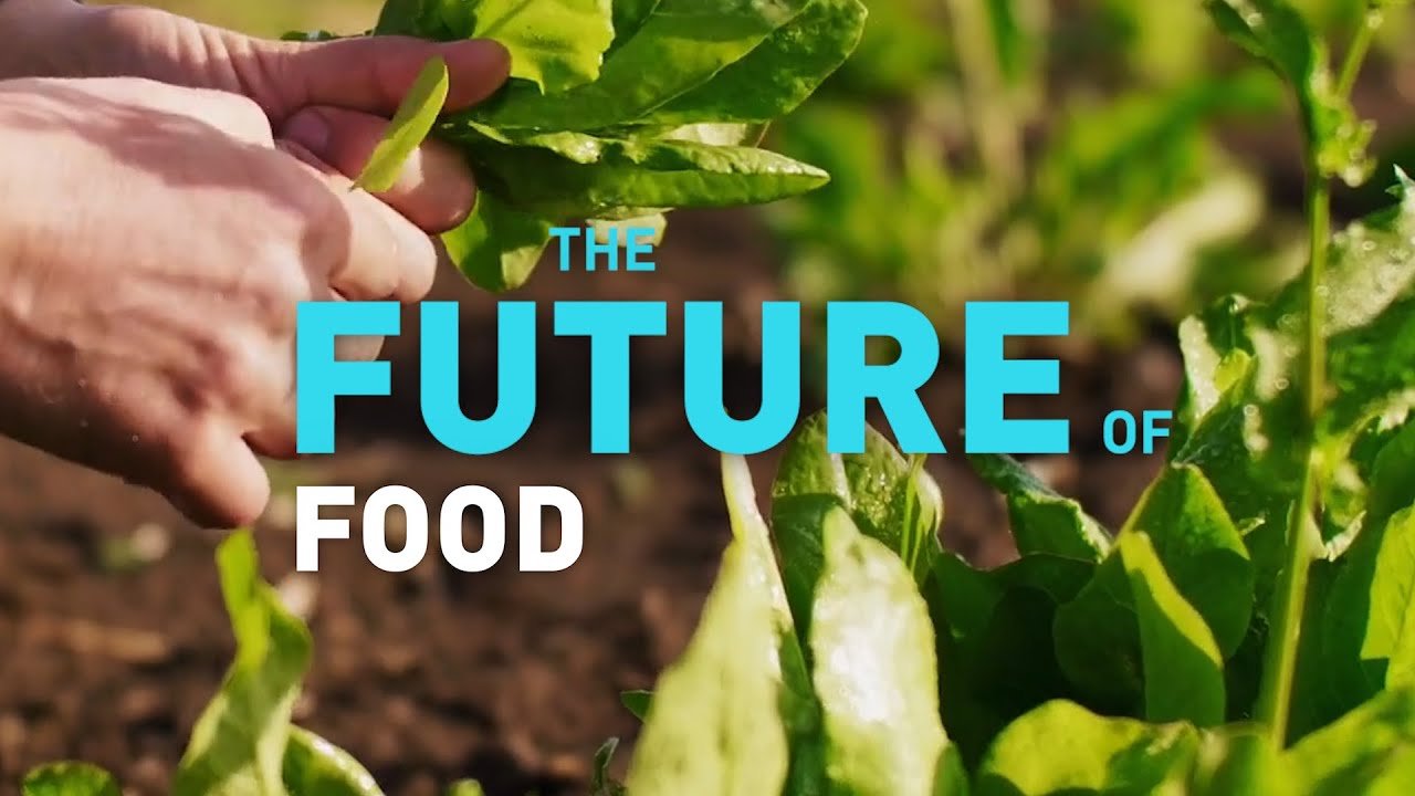 Exploring Ven Food Tradition Innovation, and the Future of Sustainable Cuisine
