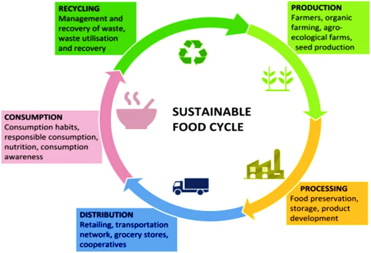 The Key Role of Food Circularity Building a Sustainable Future